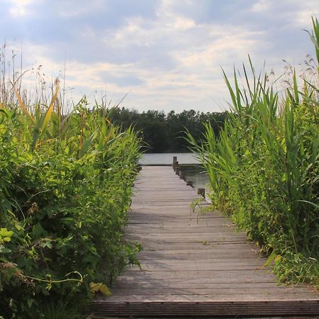 Luxuswohnung renoviert am Plöner See mit eigenem Steg App 13 Bosau Exterior foto